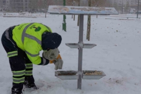 Şehitkamil sokak hayvanlarını unutmadı