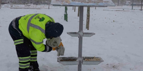 Şehitkamil sokak hayvanlarını unutmadı