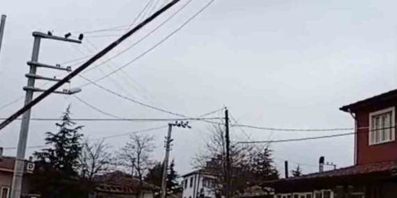 Seyitgazi’de dev bayrak direği elektrik tellerinin üzerine devrildi