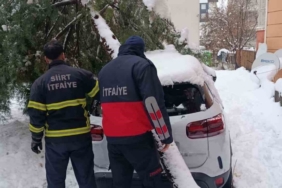 Siirt’te karın ağırlığına dayanamayan çam ağacı otomobilin üzerine devrildi
