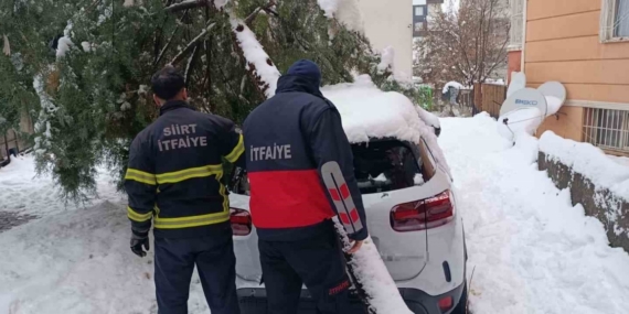 Siirt’te karın ağırlığına dayanamayan çam ağacı otomobilin üzerine devrildi