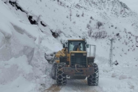 Siirt’te mahsur kalan minibüs kurtarıldı