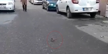 Sokakta fare paniği: Çevreyi kötü kokular sardı