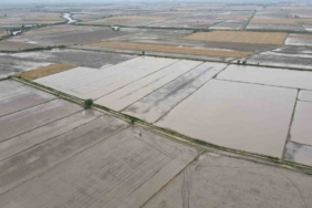 Söke’nin 2026 yılı ürün deseni belli oldu