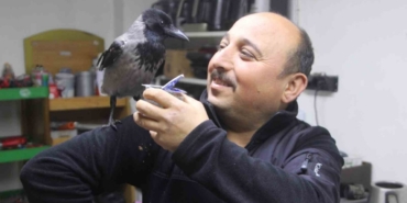 Tamirci çırağı karga