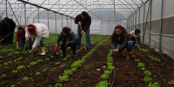 Tarım Akademisi’nde 16-55 yaş arası aday çiftçilere eğitim