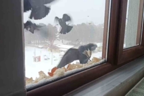 Tatvan’da yürekleri ısıtan davranış