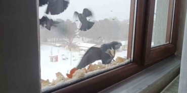 Tatvan’da yürekleri ısıtan davranış