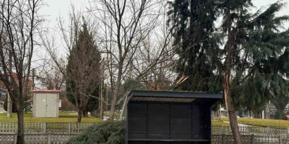 Tavşanlı’da şiddetli rüzgar ağaç devirdi