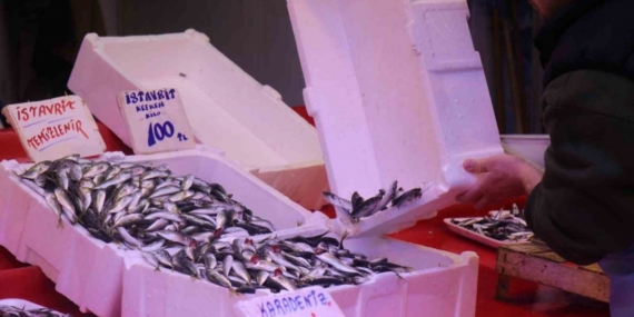 Tezgahlar istavritle doldu: Fiyatlar dibi gördü