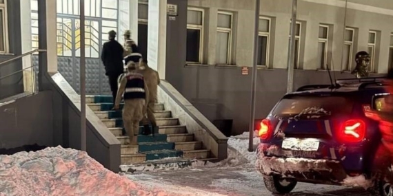 Tunceli’de yavru köpeğe eziyet eden şahıs tutuklandı