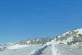 UMKE ekiplerinin hasta yolculuğuna kurt eşlik etti