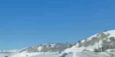 UMKE ekiplerinin hasta yolculuğuna kurt eşlik etti