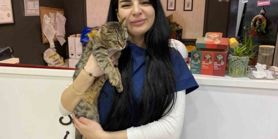 Uzman Veteriner Hekim Tuğçe Kara: "Tüyü var üşümez inancı yanlış"