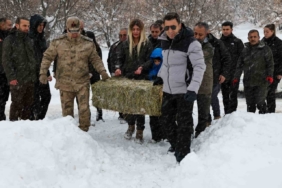 Vali Aygöl, yaban hayvanları için kolları sıvadı