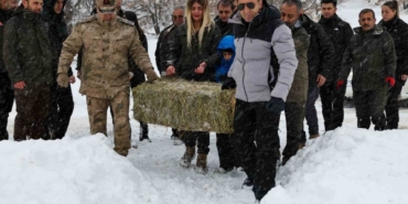 Vali Aygöl, yaban hayvanları için kolları sıvadı