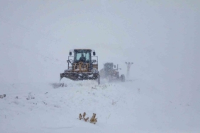 Van’da 671 yerleşim yerinin yolu ulaşıma kapandı