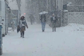 Van’da lapa lapa kar yağdı: 405 yerleşim yerinin yolu kapalı
