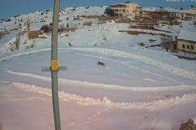 Vaşaklar ile kurtlar arasındaki kovalamaca kamerada