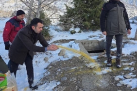 Yabani hayvanlar için doğaya yem bırakıldı