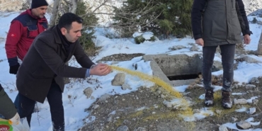 Yabani hayvanlar için doğaya yem bırakıldı