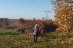 Yargıtay’dan kamulaştırma davasında emsal karar
