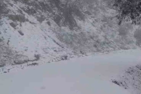 Yazın yanan orman sahası beyaza büründü