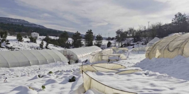 Yoğun kar çok sayıda serayı yıktı