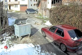 Yolda yatan köpeği ezip, yoluna devam etti