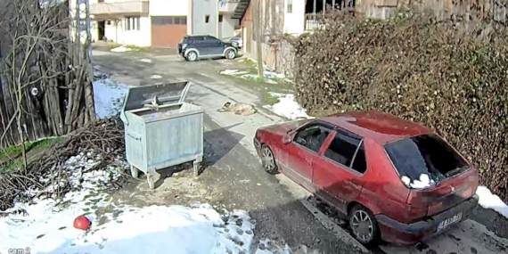 Yolda yatan köpeği ezip, yoluna devam etti