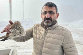 Yüksekova’da yürek burkan manzara: Konduğu yerde dondu